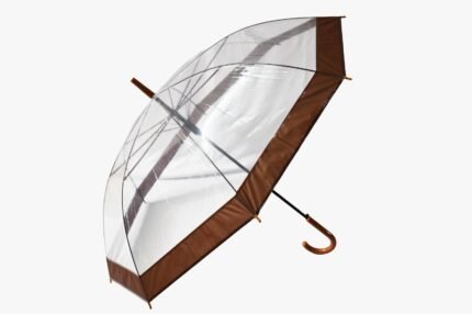 Transparent Dome Umbrella with Brown Border